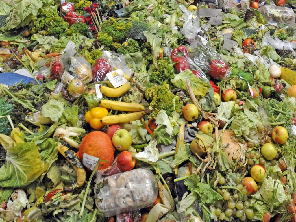 蔬菜垃圾处理设备原理是什么？